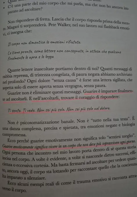 codice-interiore-di-suzanne-pilch-recensione-libri-di-marketing-pagina-interna-significato-guarire